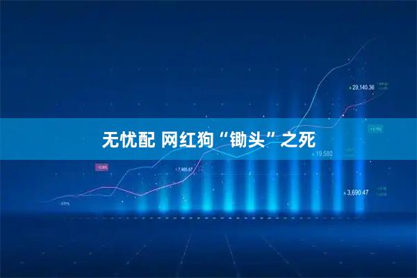 无忧配 网红狗“锄头”之死