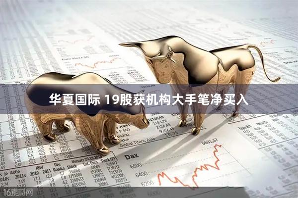 华夏国际 19股获机构大手笔净买入