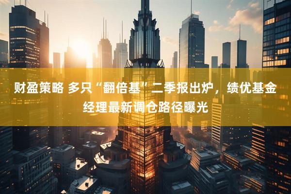 财盈策略 多只“翻倍基”二季报出炉，绩优基金经理最新调仓路径曝光