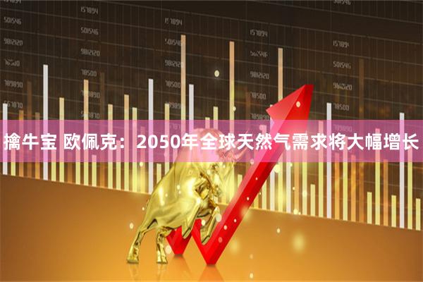 擒牛宝 欧佩克：2050年全球天然气需求将大幅增长