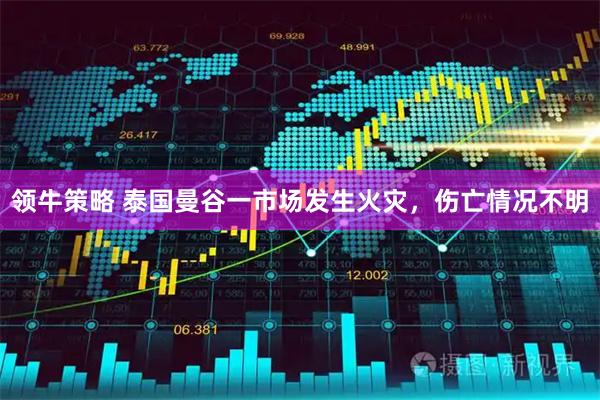 领牛策略 泰国曼谷一市场发生火灾，伤亡情况不明
